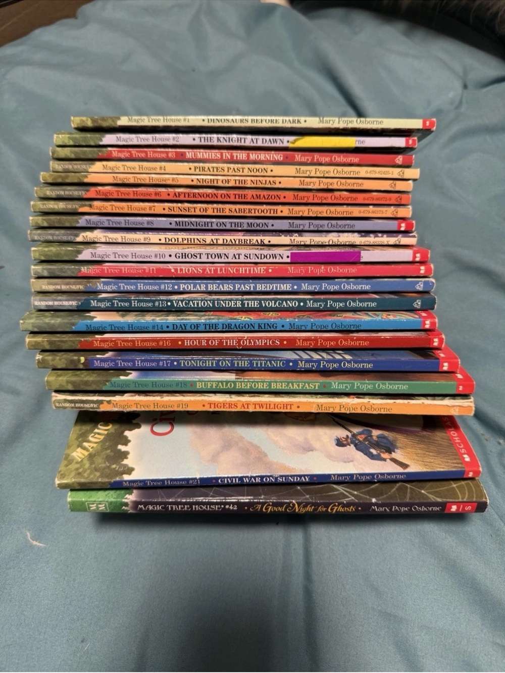 Magic Treehouse Books X 20
